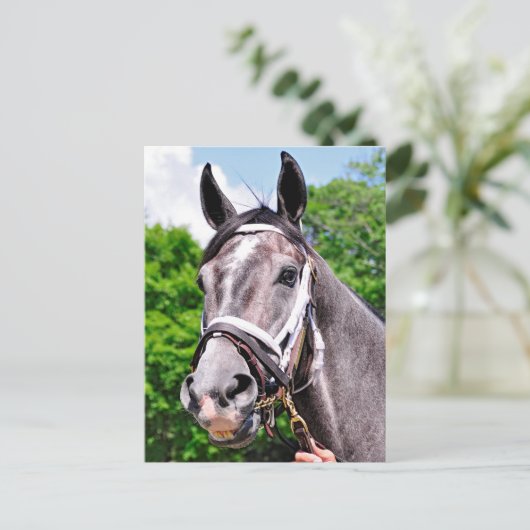 王の一人 ポストカード (スタンド正面)