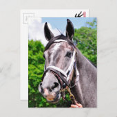 王の一人 ポストカード (正面/裏面)