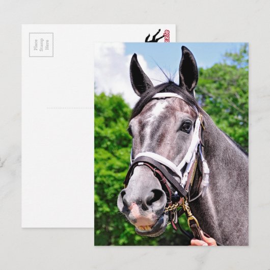 王の一人 ポストカード (正面/裏面)