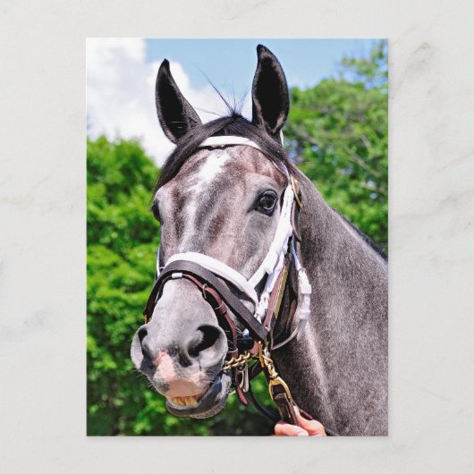 王の一人 ポストカード (正面)