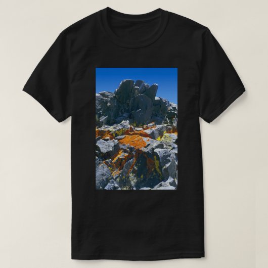 王の前に提供される自然美しい Tシャツ (デザイン正面)