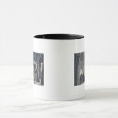 王をで覆っている修道士はCamenzの女子修道院をおおいます マグカップ (中央)