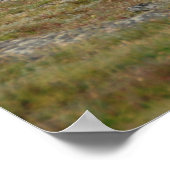 王位に就く ポスター (角)