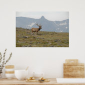 王位に就く ポスター (キッチン)