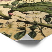 王冠あじさい鳥のフランスの植物 ポスター (角)