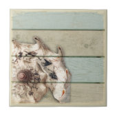 王冠のコンシュ タイル (正面)