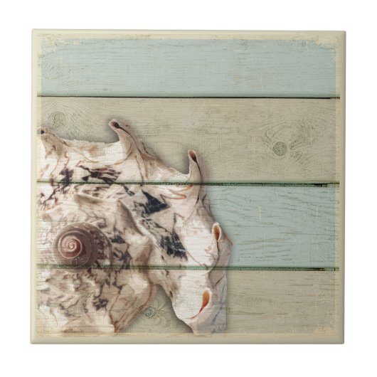 王冠のコンシュ タイル (正面)