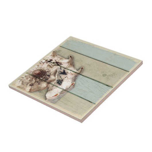 王冠のコンシュ タイル (側面)