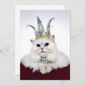 王冠の猫 招待状 (正面/裏面)
