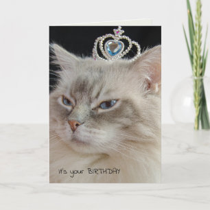王冠の誕生日のラグドール猫 カード