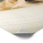 王冠を持つ犬 ポスター (角)