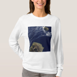 王子のエドワードIslands衛星意見 Tシャツ