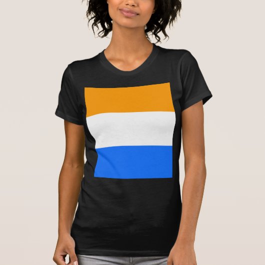 王子の国旗 Tシャツ (正面)