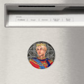 王子 マグネット (インサイチュ (食洗機))
