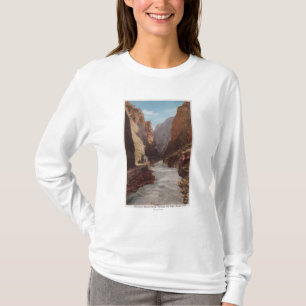 王室のな峡谷、列車、川の共同眺め Tシャツ