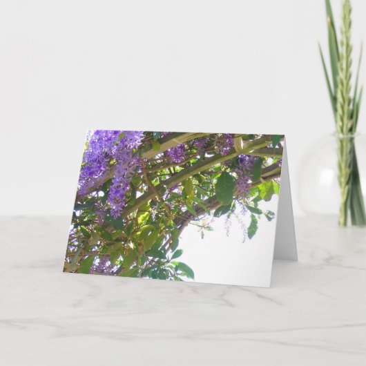 王室のな格子垣 カード (正面)