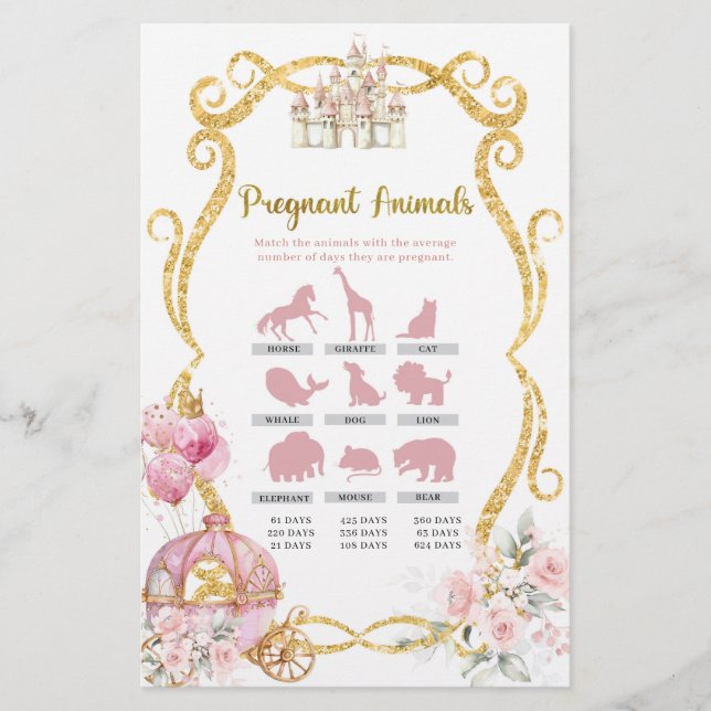 王室のプリンセスピンクキャリーゲーム (正面)