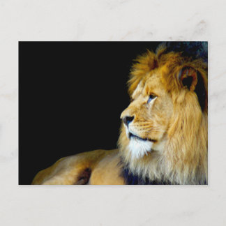 王室のポートレート ポストカード