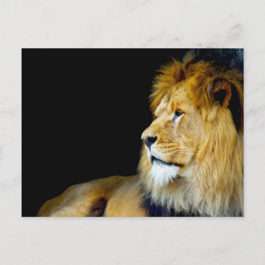 王室のポートレート ポストカード (正面)