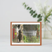 王室のマウントカーメル秋 ポストカード (スタンド正面)