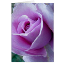 王室の上がりました