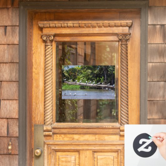 王室の提灯,トルトゥゲロ川河口 – Costa Rica ウィンドウサイン (ホームデコレーション)