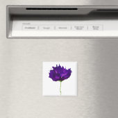 王室の開花 マグネット (インサイチュ (食洗機))