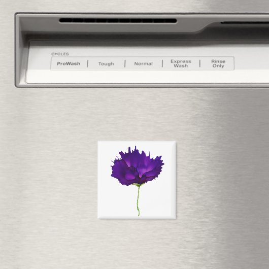 王室の開花 マグネット (インサイチュ (食洗機))