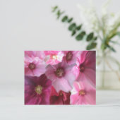 王室の ポストカード (スタンド正面)