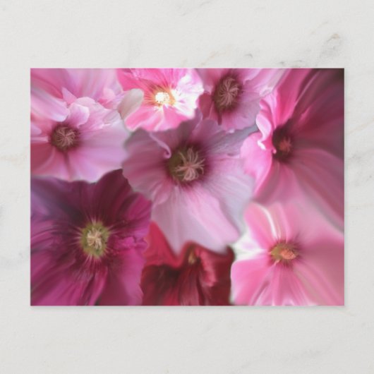 王室の ポストカード (正面)