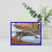 王様になれてよかった ポストカード (スタンド正面)