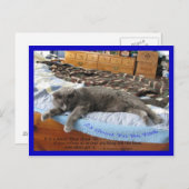 王様になれてよかった ポストカード (正面/裏面)