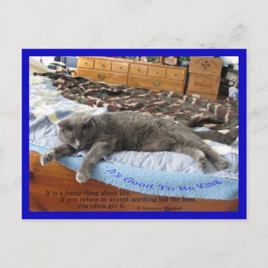 王様になれてよかった ポストカード (正面)