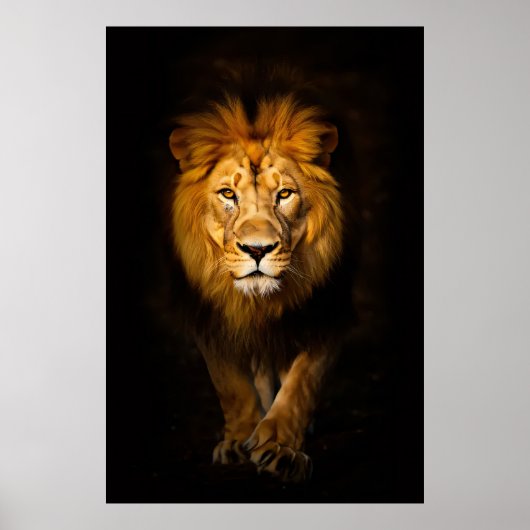 王静か王 ポスター (正面)