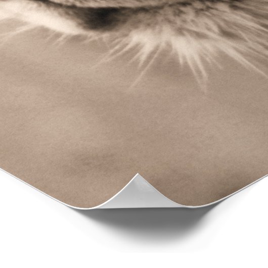 王 ポスター (角)