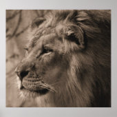 王 ポスター (正面)