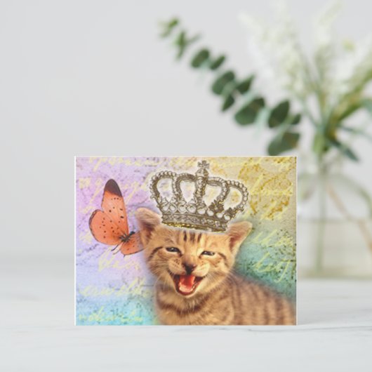 王 ポストカード (スタンド正面)