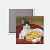 玩具虎磁石付き子猫 マグネット (正面/裏面)