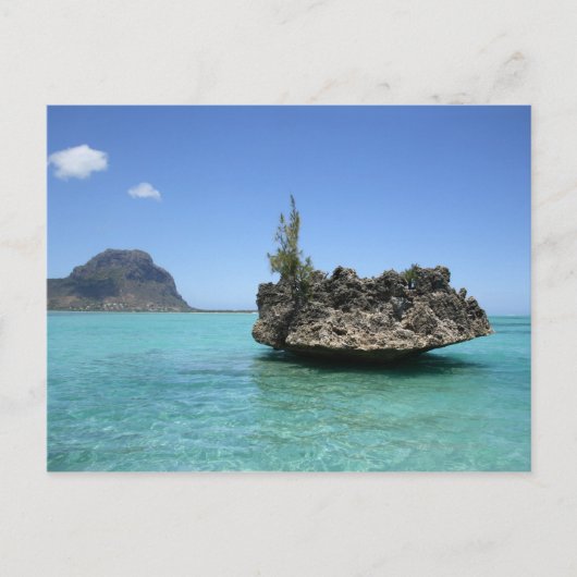 珊瑚で構成された結晶岩 ポストカード (正面)