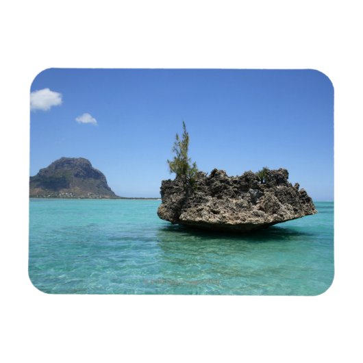 珊瑚で構成された結晶岩 マグネット (横)