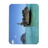 珊瑚で構成された結晶岩 マグネット (縦)