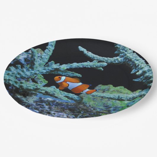 珊瑚のかわいいピエロの魚 ペーパープレート (アングル)