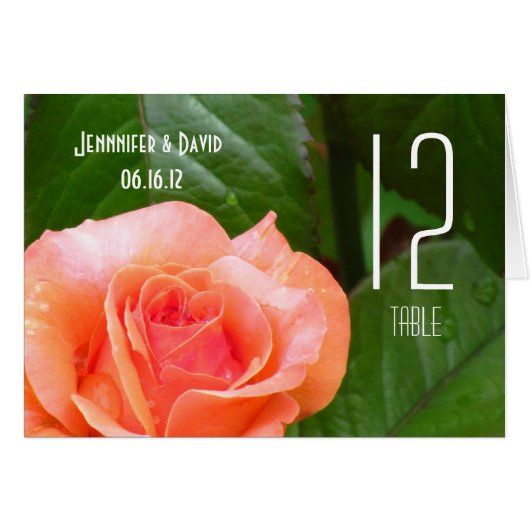 珊瑚のばら色の結婚式のテーブルカード (正面横)