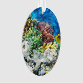 珊瑚のアクアリウム オーナメント (正面)