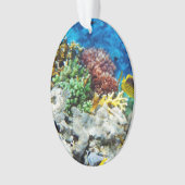 珊瑚のアクアリウム オーナメント (正面)