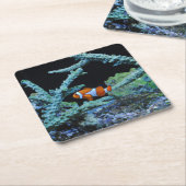 珊瑚のピエロの魚 スクエアペーパーコースター (アングル)