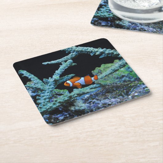 珊瑚のピエロの魚 スクエアペーパーコースター (アングル)
