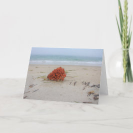 珊瑚のメッセージカード カード