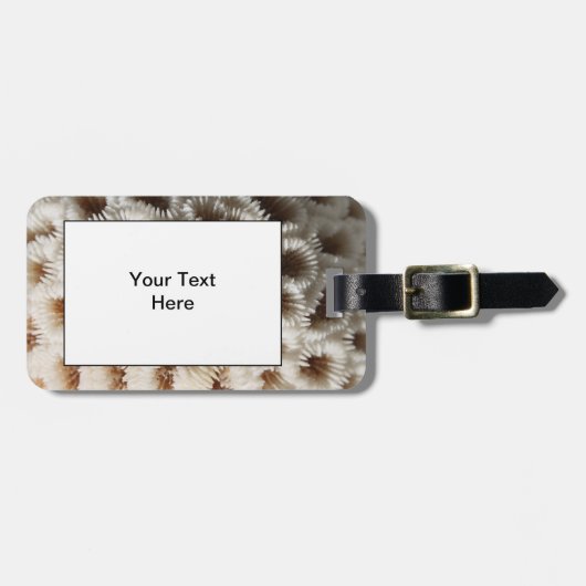 珊瑚の写真 ラゲッジタグ (正面横)