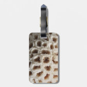 珊瑚の写真 ラゲッジタグ (裏面縦)